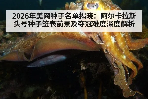 2026年美网种子名单揭晓:阿尔卡拉斯头号种子签表前景及夺冠难度深度解析